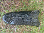 Alligator Head from 13 Footer
